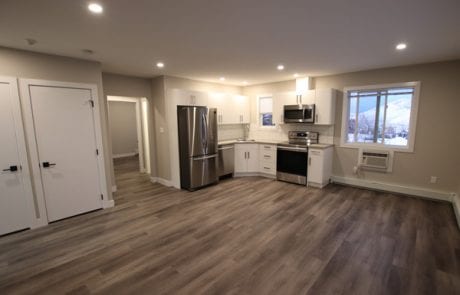 after apartment renovation - white kitchen, stainless steel appliances, vinyl plank